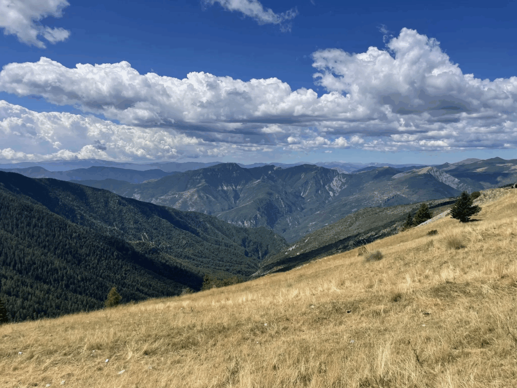 Parc du Mercantour avec son chien