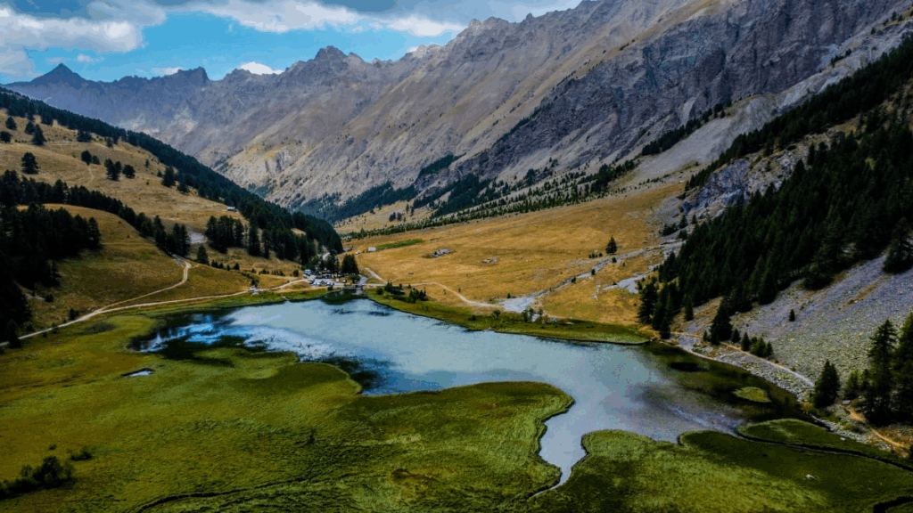 Parc des écrins avec un chien