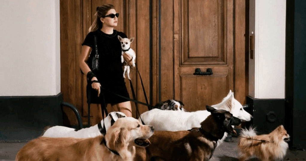 Chien de Louane : image du clip