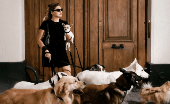 Chien de Louane : image du clip