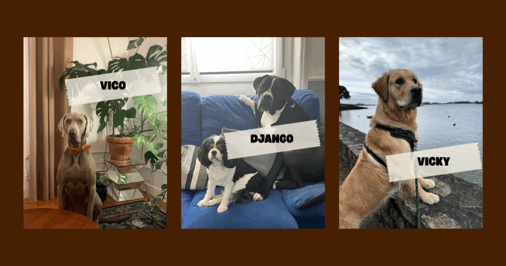 3 chiens décédés à Nantes : ce que l'on sait