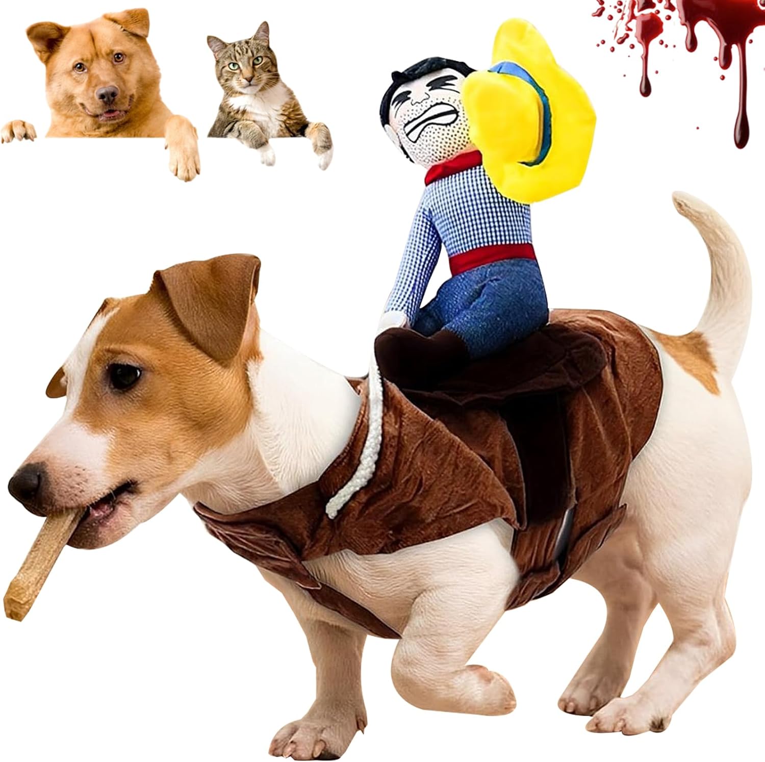 Costume rodéo pour petit chien