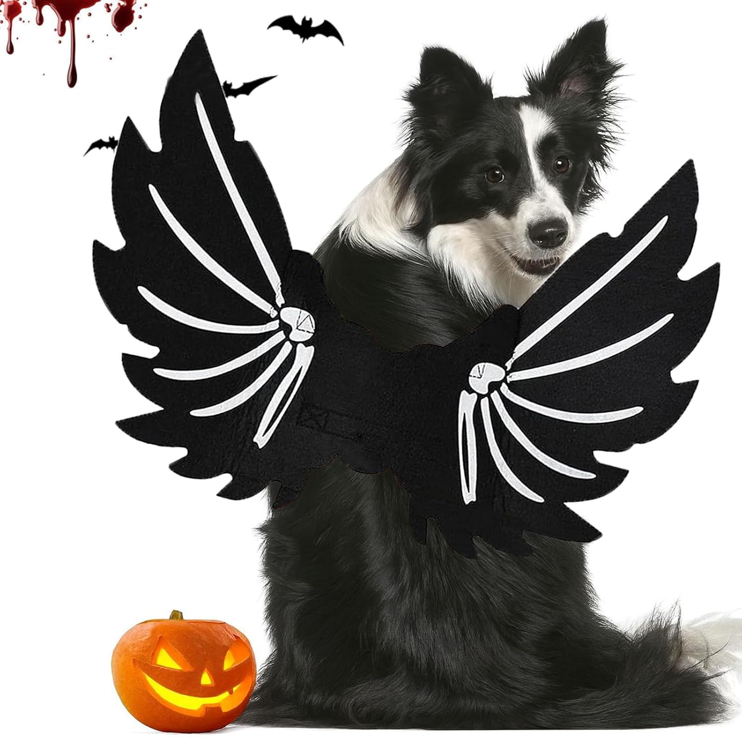 Déguisement Halloween ailes de chauve-souris pour chien