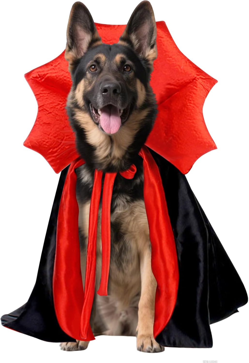 Costume Halloween vampire pour grand chien
