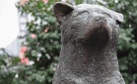 Hachiko Statue