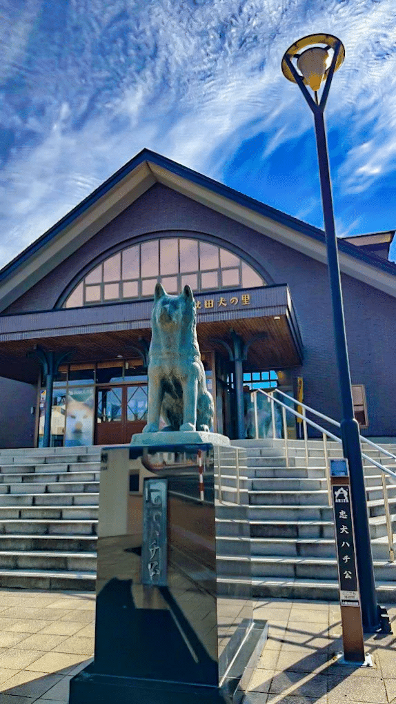 hachiko gare Odate