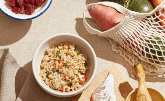 Ration ménagère pour chien