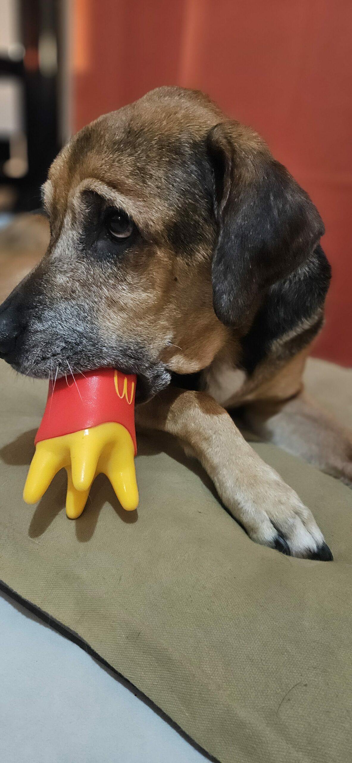 Petit Chien En Silicone - Édition Limitée - Figurine Comme Neuve - Occasion