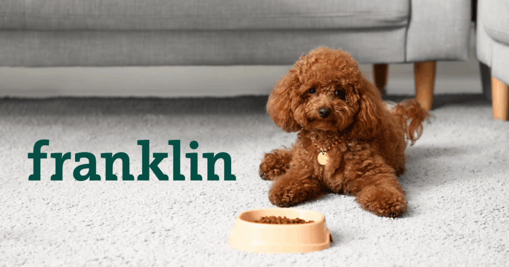 Franklin croquettes avis