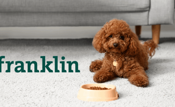 Franklin croquettes avis