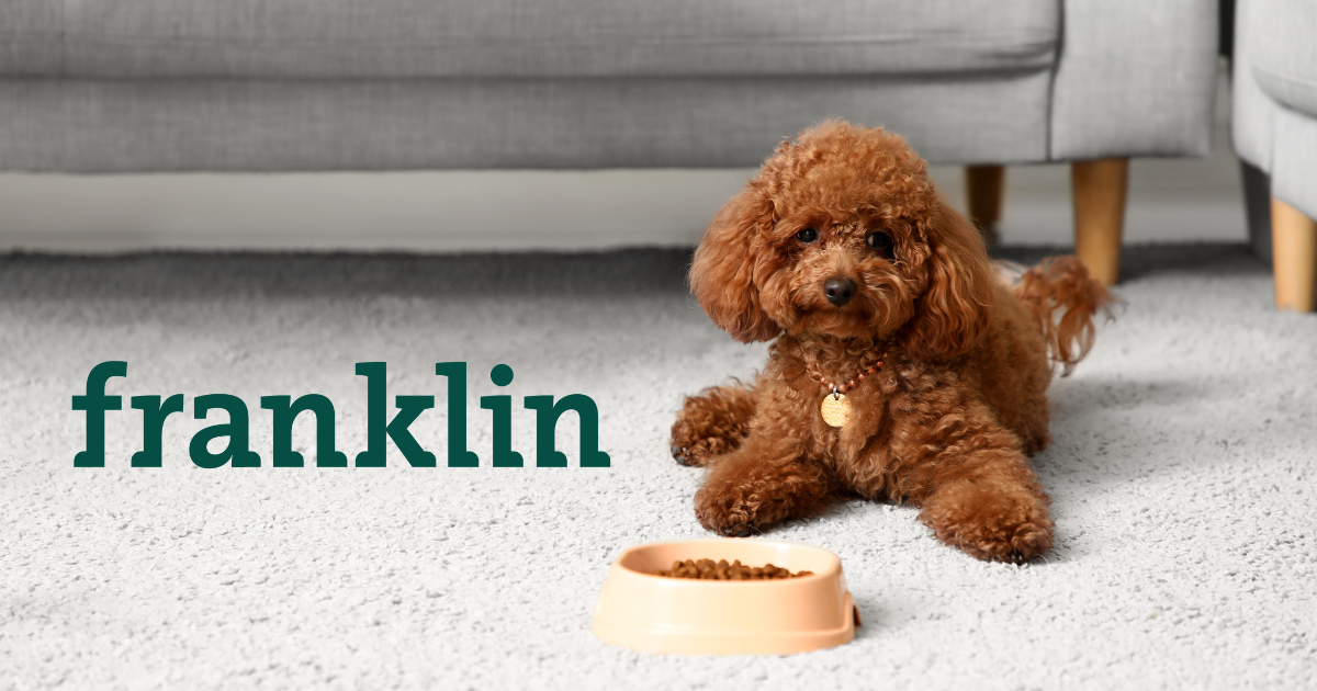 Franklin croquettes avis