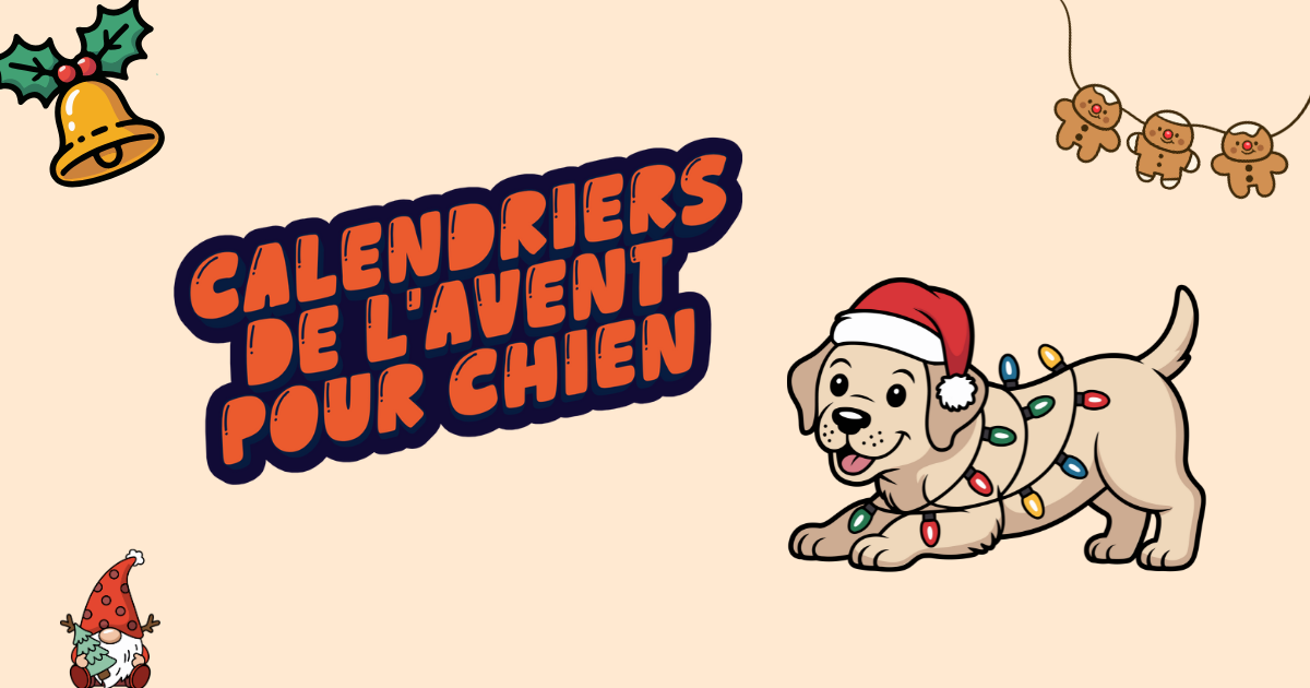 Calendrier de l’avent pour chien : mon top 5