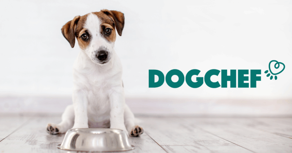 Dog Chef : avis et prix