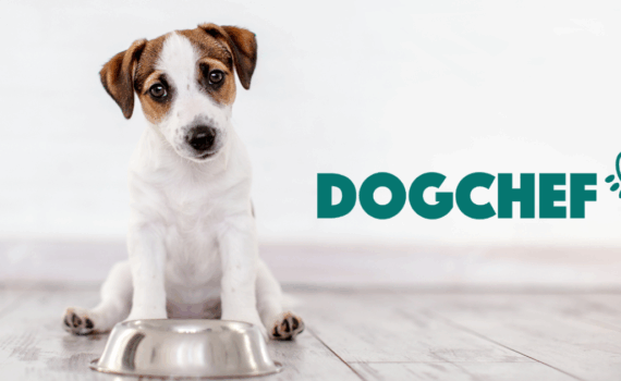 Dog Chef : avis et prix