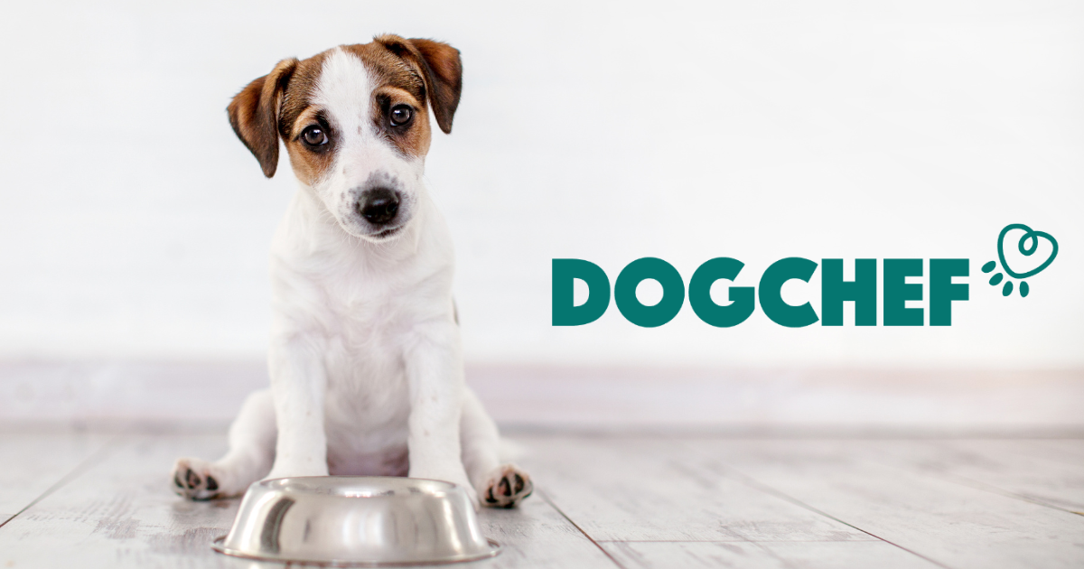 Dog Chef : avis et prix