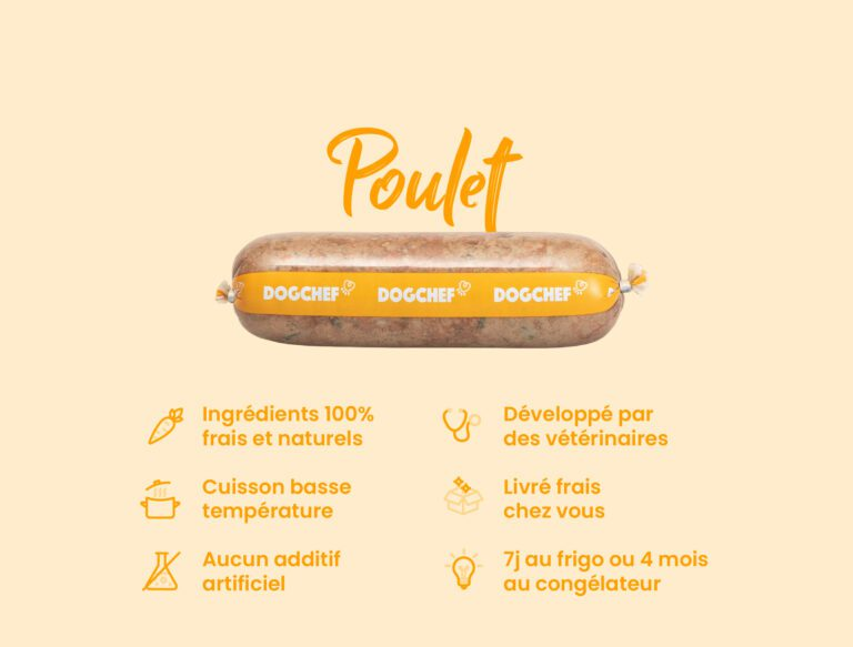 Alimentation fraîche pour chien Dog Chef