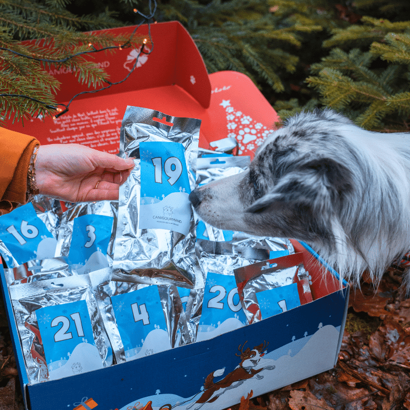 calendrier de l'avent pour chien Canigourmand