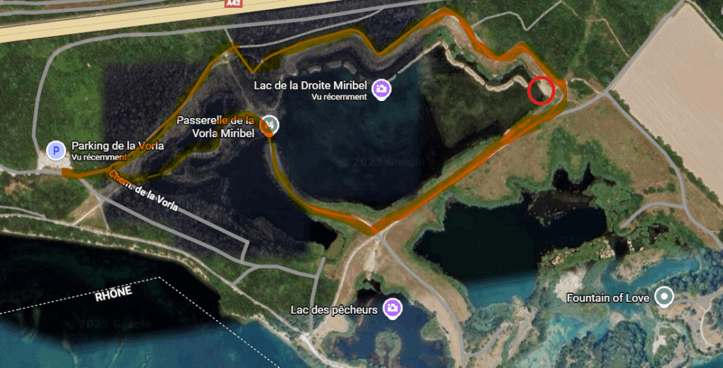 Promenade et baignade avec son chien à Miribel