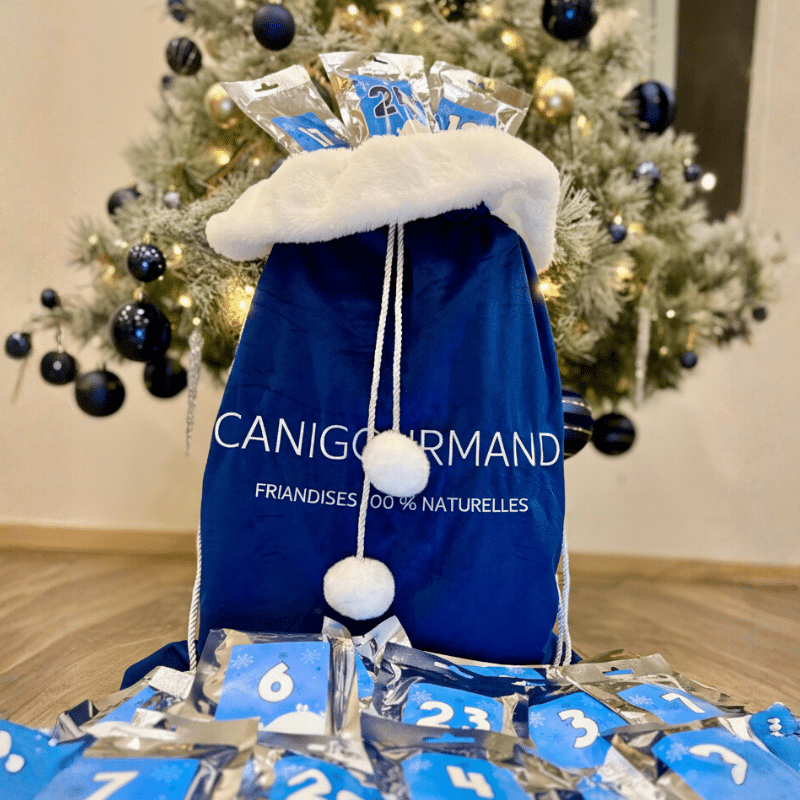 Hotte de Noël pour chien Canigourmand