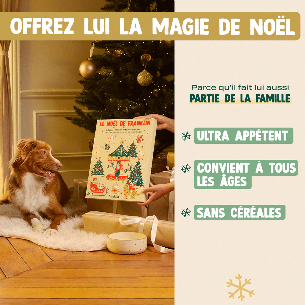 calendrier avent chien Franklin