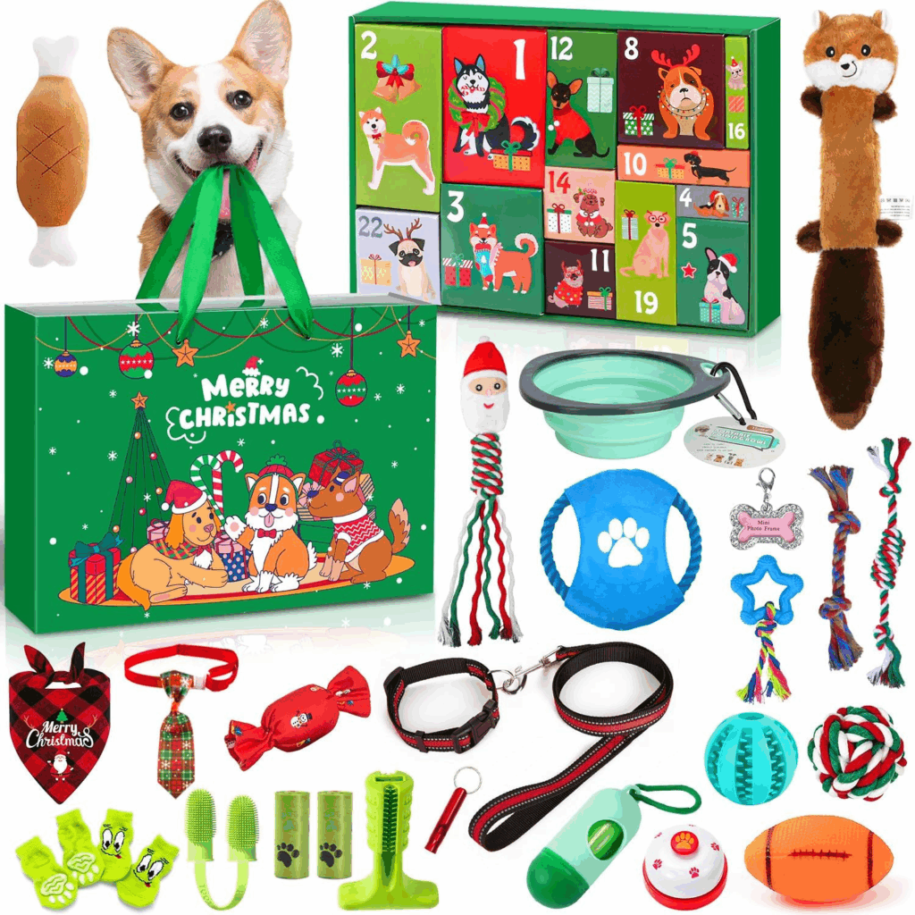 calendrier avent chien avec jouets