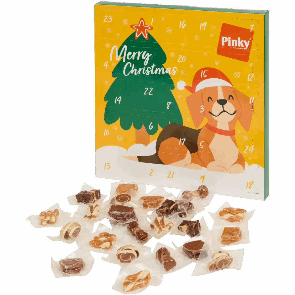 calendrier avent chien action