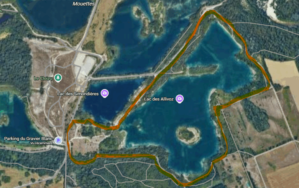 Balade à Miribel avec son chien