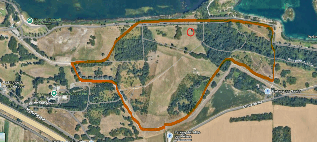 Promenade au parc de Miribel avec son chien