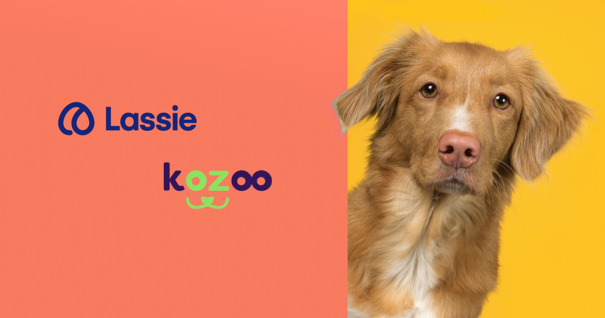Lassie ou Kozoo