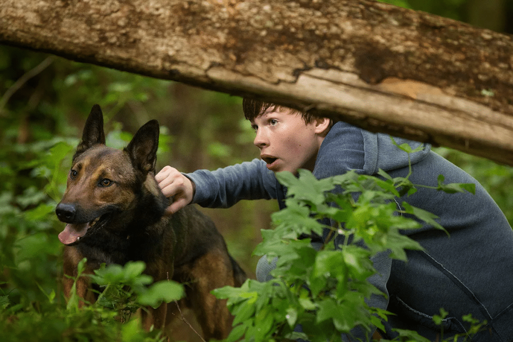 Max film sur Netflix