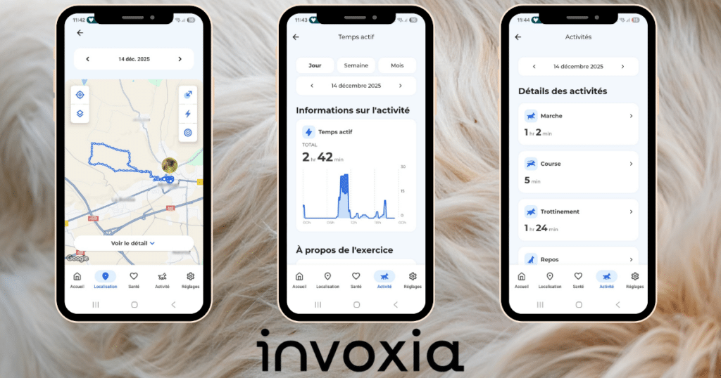Avis Invoxia GPS chien