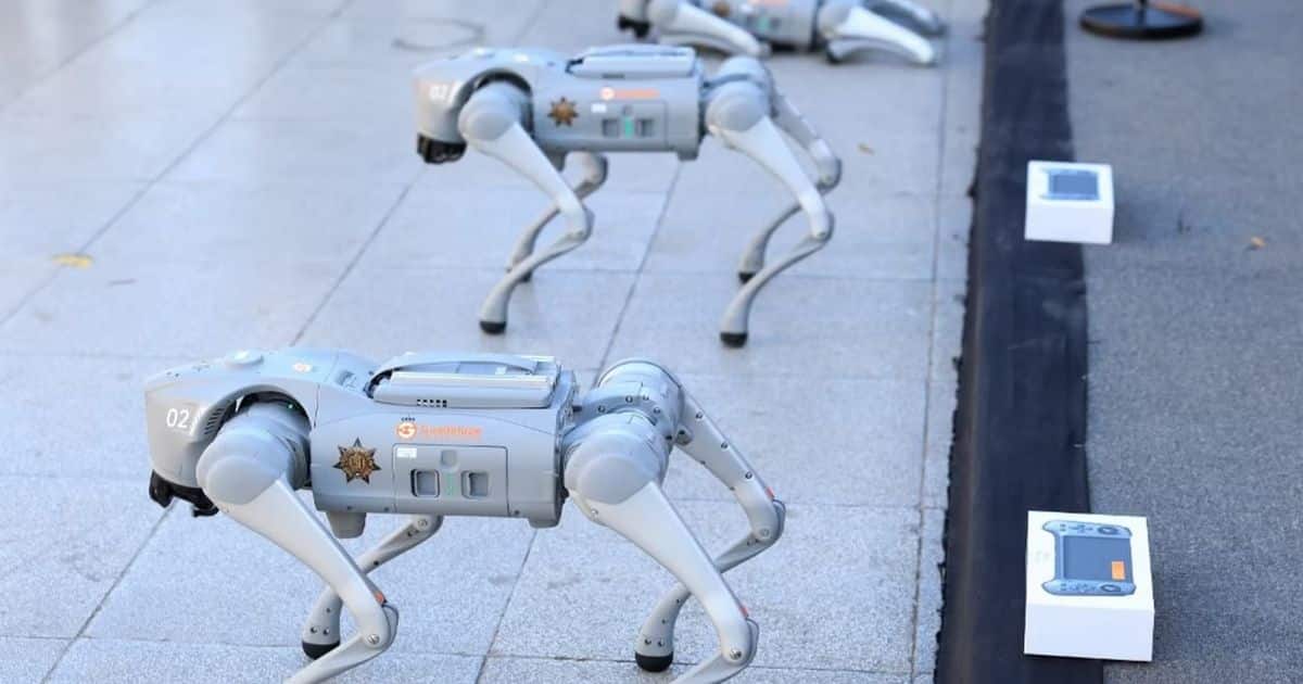 Chiens robots à la coupe du monde de Football 2026 au Mexique