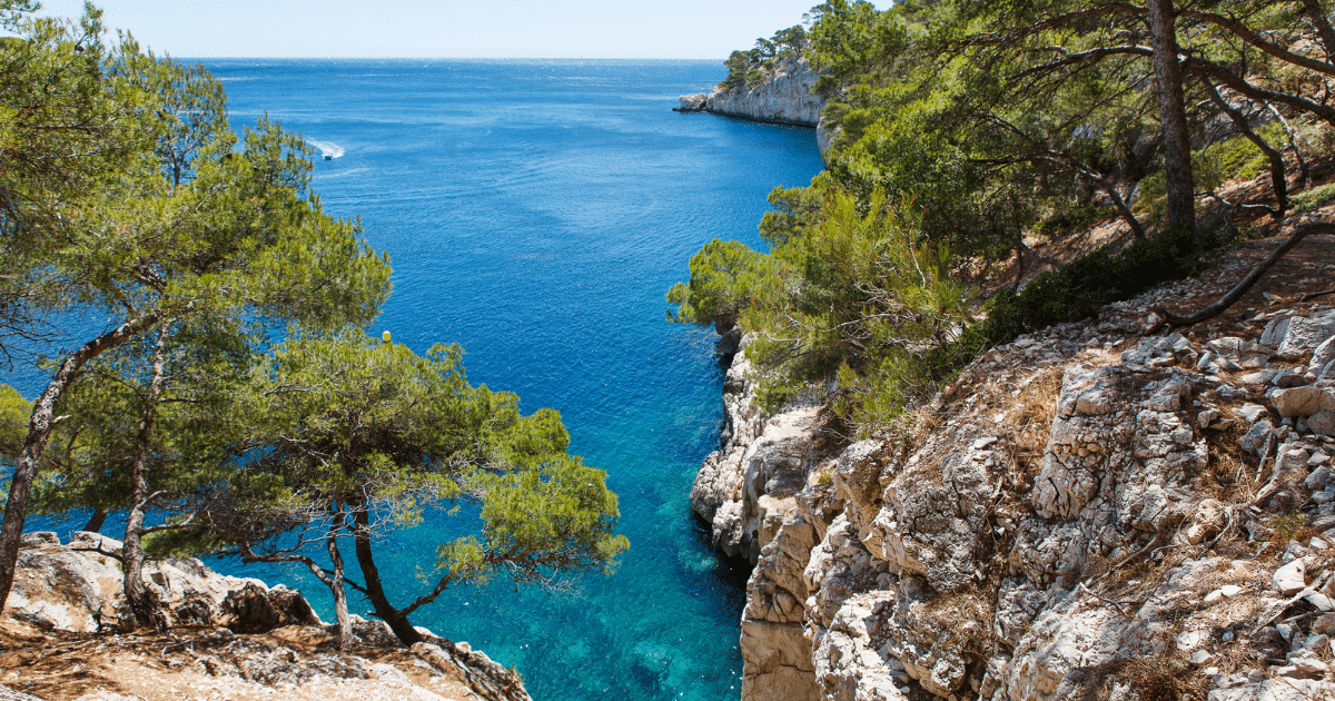 Les Calanques avec son chien