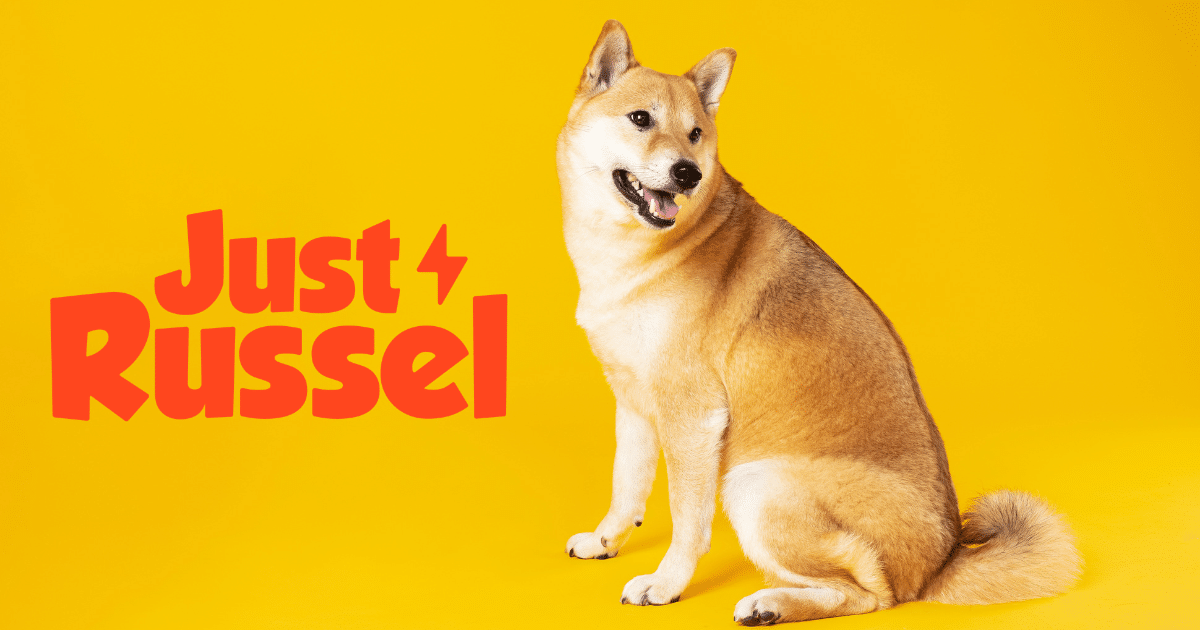 Avis Just Russel croquettes