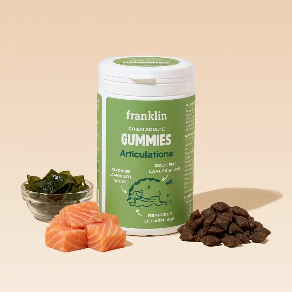 Pot de Gummies Articulations Franklin pour chien