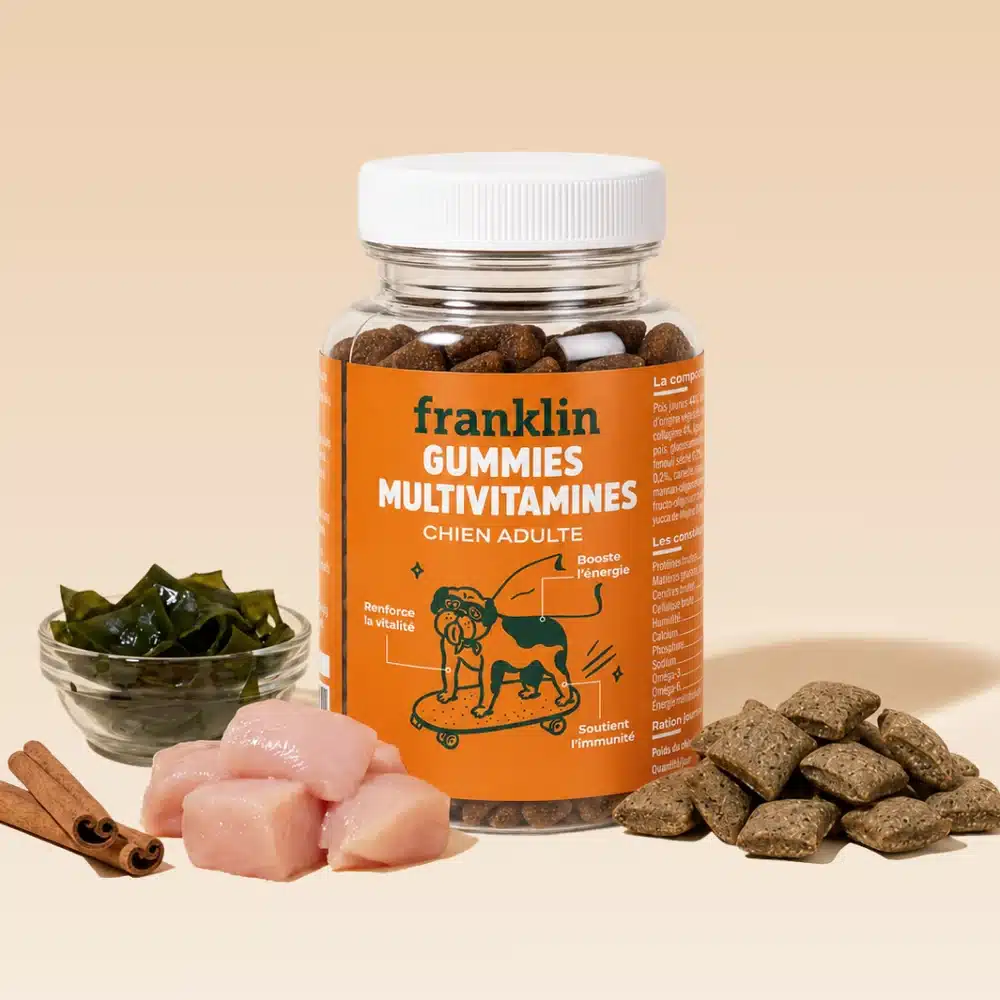 Pot de Gummies Multivitamines Franklin pour chien