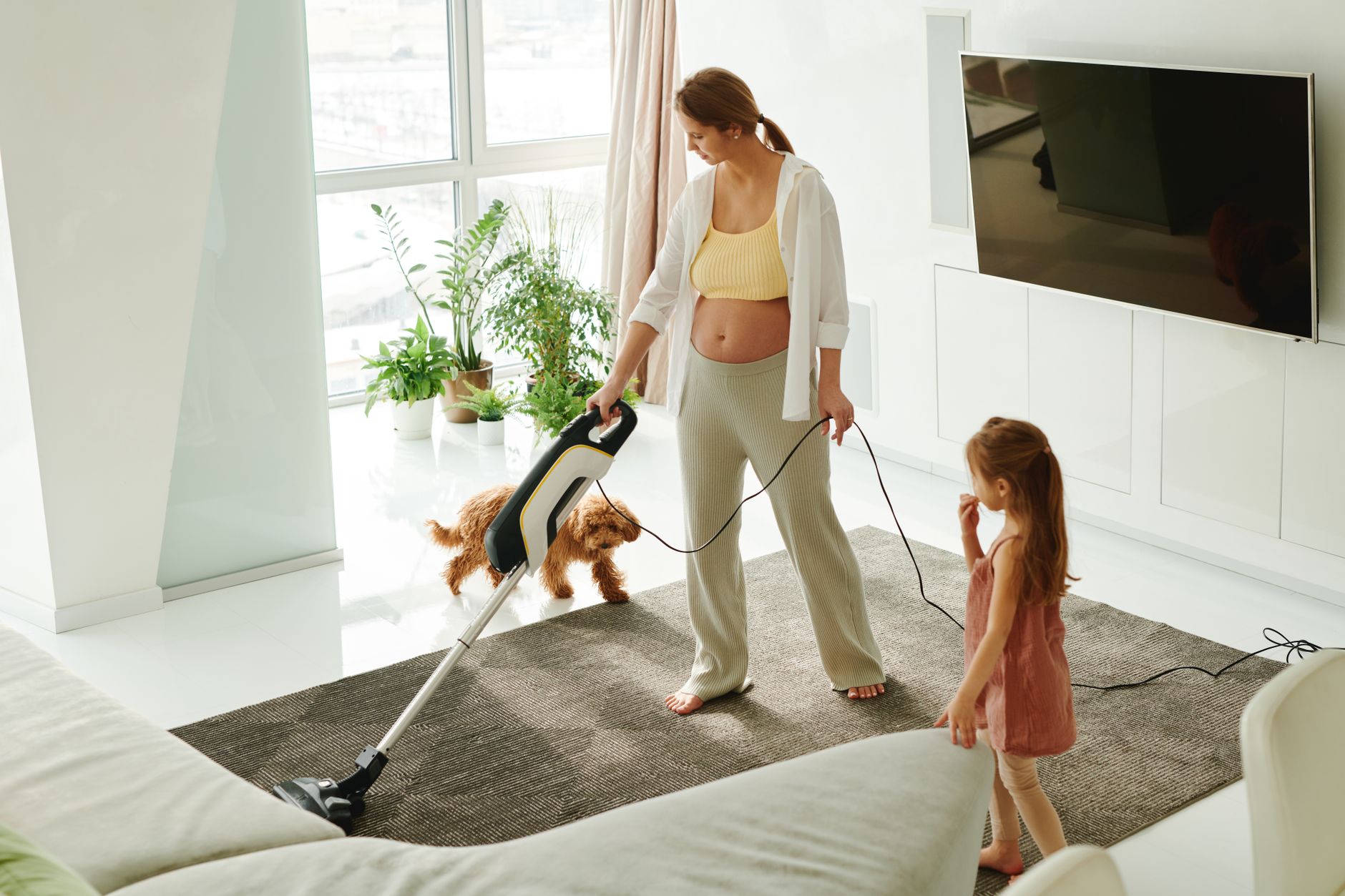 Aspirateur Dyson poil de chien : comment choisir